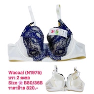 Wacoal Bra Underwear With Underwire Thin Foam 2 Hooks Size B80/36B