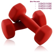 A Pair of Hexagon Shape Gym Yoga Matte Coated Dumbbell (2 x 0.5/1.0/1.5/2.0 kg)
