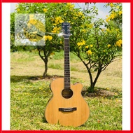 Davis Guitar with EQ