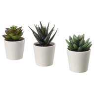 FEJKA Artificial potted plant with pot, in/outdoor Succulent, 6 cm. 3 pieces pokok cactus hiasan