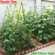 210/180/150/120/90/60cm Durable Grape Cucumber Rack Support Trellis for Melon Climbing Plants Suppor