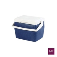 Standard Plastic Insulated Cooler Box L25.5xW18xH20cm 4L/4.2Qt Blue