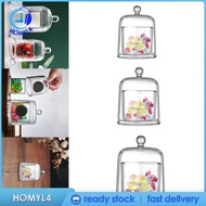 [Homyl4] Clear Cloche Transparent for Home Decor Candle Holder for Plants