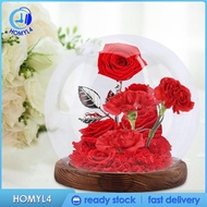 [Homyl4] Glass Cloche Globe Dustproof Glass Cover Decorative Terrarium Home