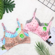 DI140 >> Kareshi Star 6 Pcs Teen Bra Teen Student Bra Agatha and Angel Brand Kids Fashion Miniset