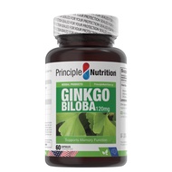 PN Gingko Biloba 120mg (60s)