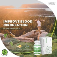 【Original】BIOBAY Ginkgo Plus 520mg Ginkgo Biloba Bacopa Ginger Rosemary Extract [60 Vegecaps]