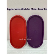 Tupperware Modular Mates Oval Seal/Lid/Cover/Round Seal/Square Seal (1pc) Dark Purple/Dark Red