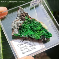 Arsenic Copper Calcium Stone/Arsenic Ore No. 0528-9 Conichalcite~Promote Grounding Roots And Stabili