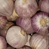 1kg Bawang Putih Tunggal Lanang garlic