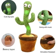 Dancing Cactus Children's Toy / Rocking Cactus Toy