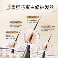 Imported High-End Courtyard Line Triple Protein Before Washing Repair Fluffy Shampoo Instant Smoothi