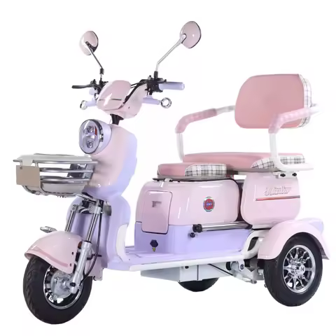 2025 EEC new 3-wheel electric scooter 500w recreational tricycle mini electric motorcycle open body 
