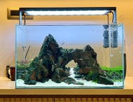 ADA 60CM 魚缸水草造景設計