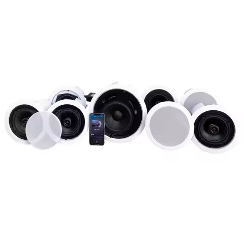 5.1/7.1 Ceiling Hidden Installation Home Theater System Speaker with 2 Wireless Microphones and Bass