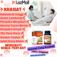 Kapsul Gamat Emas 100% Asli Jeli Gamat Mas Kapsul Herbal Original BPOM Obat Kolesterol Tinggi Asam L