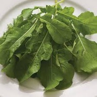 Seeds arugula rocket vegetable seeds Greece