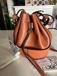 Loewe mini balloon bag **PRICE DOWN**