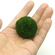 E-WOITD 3-4cm Marimo Moss Balls Live Aquarium Plant Algae Fish Shrimp Tank Ornament Simulation Green