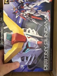 萬代 RG Destiny Gundam ZGMF-X42S