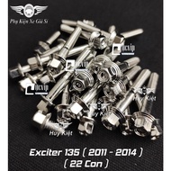 Salaya MILLING THAI 304 Stainless Steel Machine Screw Set for Exciter 135 2011 - 2014 (22 Pieces) MS