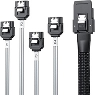 10Gtek MiniSAS SFF-8087 Fan-Out Cable Breakout to 4xSATA, 6Gbps High-Speed Cable for RAID Controller