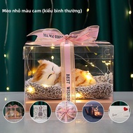 Quà Tặng Sinh Nhật Dễ Thương Cho Bé Gái Và Bé Trai Quà Tặng Sáng Tạo Cho Trẻ Em Đồ Chơi Búp Bê Lông