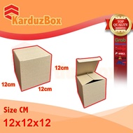 12x12x12 PIZZA Packaging Box Cardboard Box