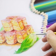 สีไม้ระบายน้ำได้ ดินสอสีไม้ ของเล่นเด็กโต สีวาดรูป สีสวย ไส้คุณภาพดี เหลาง่าย ไม่แตกหักง่าย เด็กๆชอบ