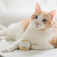 寵物友善系列-no.10 Chamomile Infusion 洋甘菊花茶