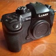 Panasonic Lumix GH5   無反相機