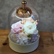 拍拍玻璃罩夜燈 /粉色系  現貨 快速出貨 附USB插座