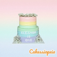 Baby Breath Rainbow Design Cake/Birthday Cake/Elephant Design Cake/Cake