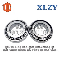 XLZY Bearing 32015 32006 32907 32009 32008 31305 30310 32308 30210 30306 32904 32011 30215 32309 313