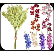 5&9 Head Tropical Cattleya Orchid for Home Decor Wedding | Bunga Orkid 3D, Bunga Hiasan Meja, Bunga 