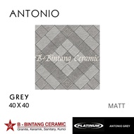 Antonio Platinum 40x40 Matt