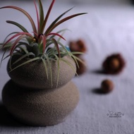 春郎陶-年糕花影-花器