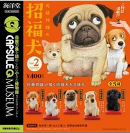全新 正版 佐藤邦雄 招福犬扭蛋Vol.2 全5款 