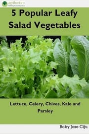 5 Popular Leafy Salad Vegetables Roby Jose Ciju