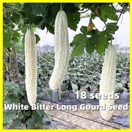 White Bitter Gourd Seeds - 18 Seeds High-yielding Balsam Pear Seeds Benih Peria Bitter Gourd Seeds A