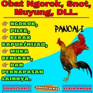 Obat ngorok pilek dan saluran pernafasan ayam bangkok dll