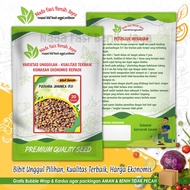 Benih PJ Pueraria Javanika 20 gram / Biji kacang kacangan / Bibit Pueraria javanica