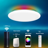 Modern LED Smart Ceiling Light WiFi/APP Smart Control RGB Ceiling Light Dimming 36W/48W/60W/72W