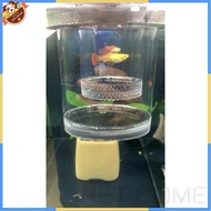 Aquarium fry culture isolation box culture tank Guppy Floating Suspension Breeding Tank Breeding Box Isolation Tank Isolation Box Big Set Small Guppy Suspension Breeding Tank/Guppy