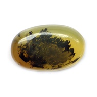 พลอย โอปอล ต้นไม้ ธรรมชาติ แท้ ( Natural Dendrite Dendritic Opal ) 7.04 กะรัต