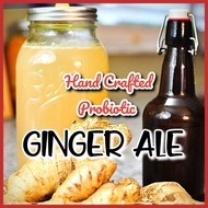 Ginger Kvass 400ml,Ginger Ale,Fermented Ginger Juice Probiotic