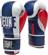 LEONE GN334 Boxing Gloves, Unisex, Color Block, Training, Synthetic Leather, Closure, 32.8 ft (10 m)