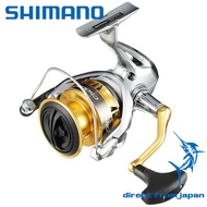 Shimano Sedona 8000 Spinning Reel for Beginners