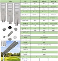 LOL -900 LAMPU JALAN PJU SOLAR CEL SEL PANEL SURYA 100W 100 WATT ALL