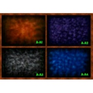 LAYAR Abstract Background 3x2.5 meters Backdrop 2.5 x 3x2.5m3m Studio Screen fabric